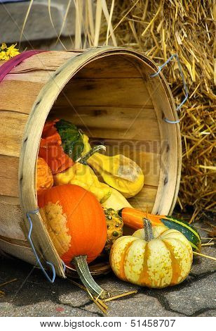 Gourds Basket