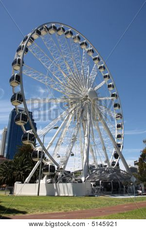 Perth kolo