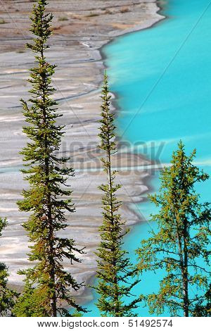 Peyto Lake Of Canada