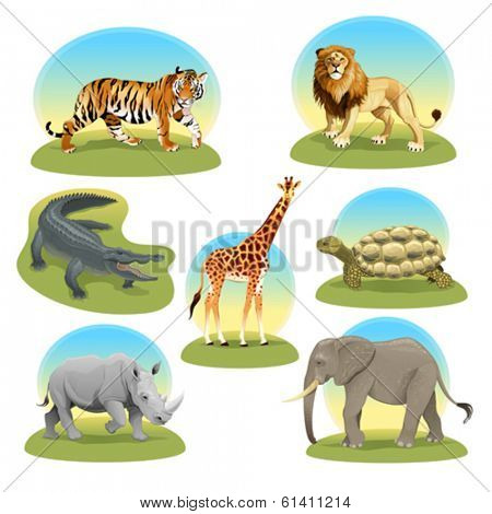 African animals with graphic backgrounds. Vector illustration, isolated objects.