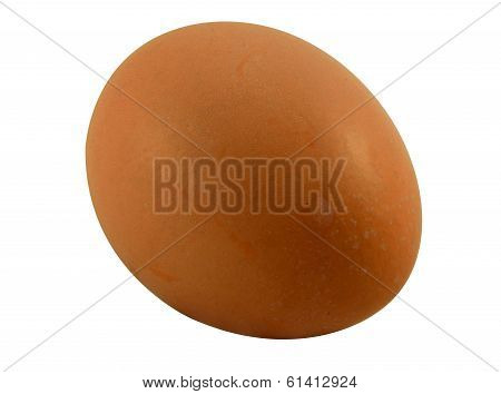 Brown egg on isolate background