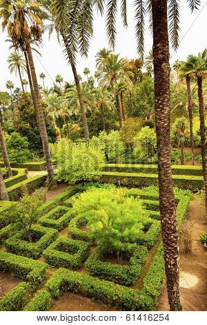 Palms Garden Alcazar Royal Palace Seville Spain