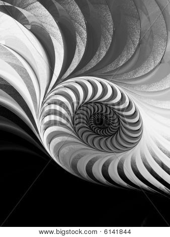 B&W Geometric Spiral