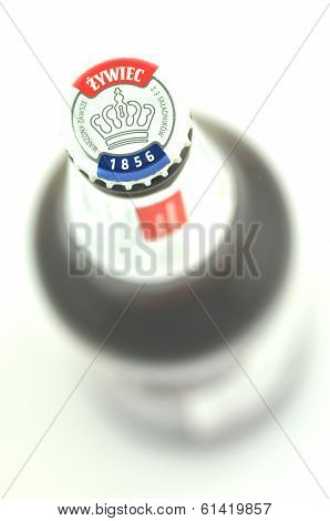 Zywiec beer isolated on white background