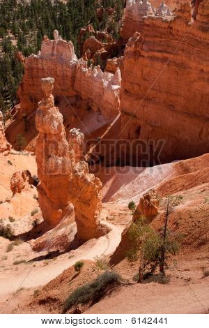 Fairyland Rundwanderung im Bryce canyon