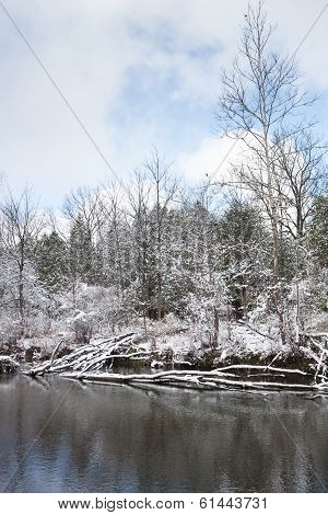 Frosty Winter Scene Vertical