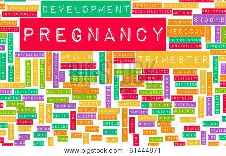 Pregnancy Concept Preparation of an Expecting Parent