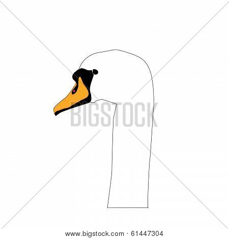 Swan head