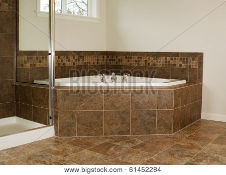 Master Bathroom Soaking Tub