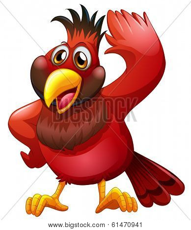 Illustration of a red bird on a white background