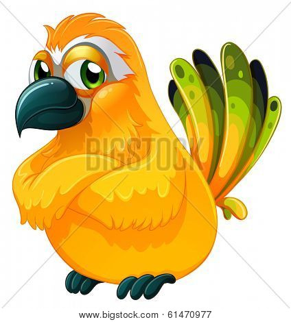 Illustration of an angry bird on a white background