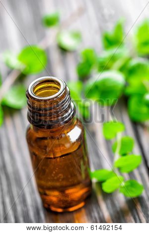 Mint oil