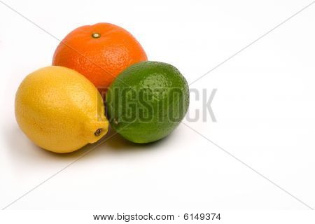 Narenciye