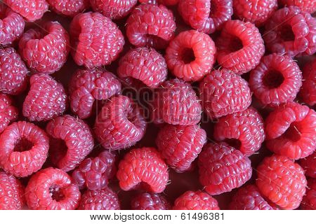 Raspberries