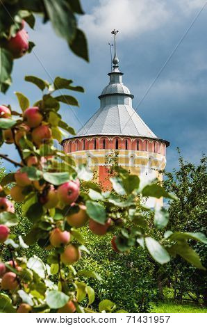Ripe apples on a background of the tower Spaso-Prilutsky Monastery