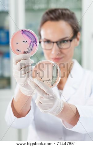 Working With Microbacteria