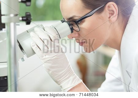 Woman Using Microscope In Laboratory
