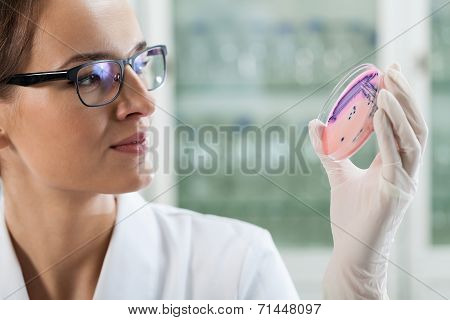 Woman Experimenting With Microbacteria
