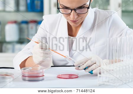 Scientist Working In A Laboratory