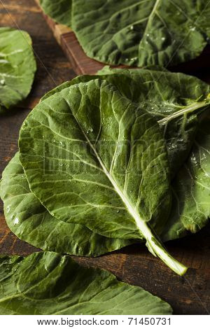 Raw Organic Green Collard Greens