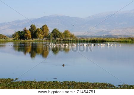Agamon Hula Bird Refuge