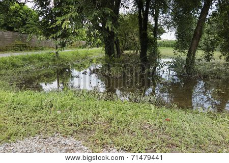 Campaign Flooded