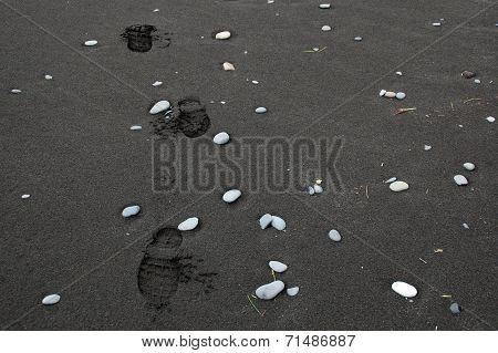 Footprints In The Sand