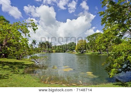 Fairchild tropiske botaniske have