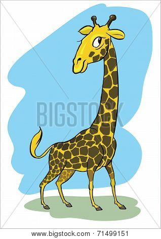 Giraffe