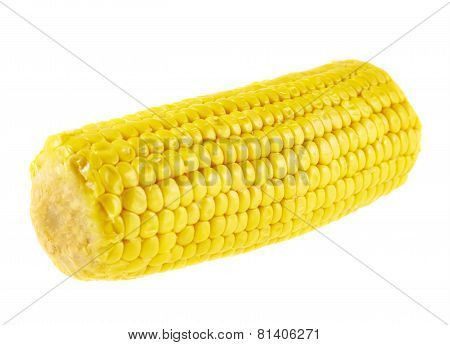 Cornstick corn on the cob isolated