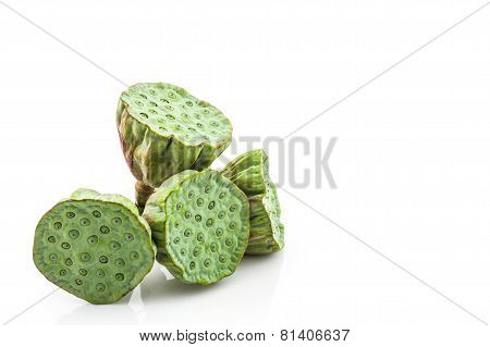 Calyx, Lotus Seeds Green.