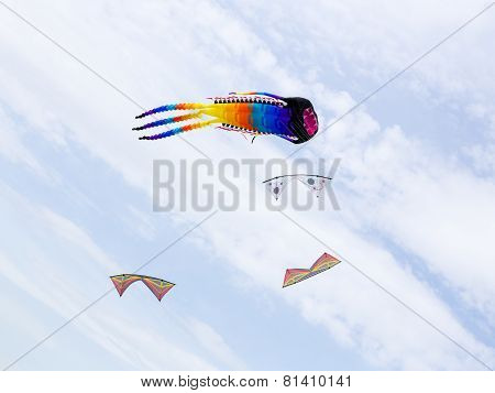 Great Octopus-like Kite In The Group Of Small Kites