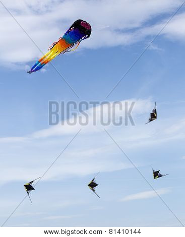 Group Of The Colored Kites In The Blue Sky