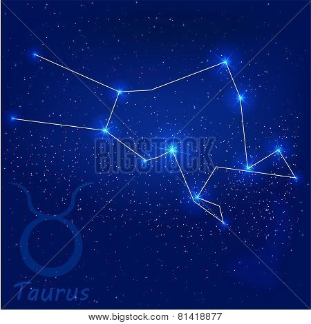 Constellation taurus