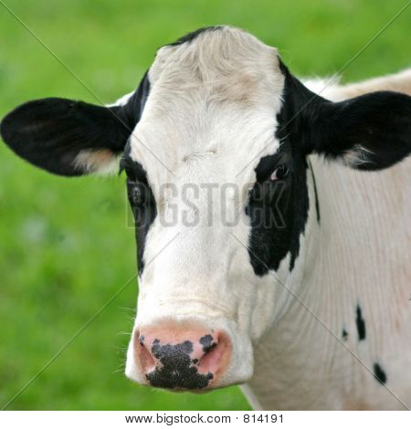 4sqcow3