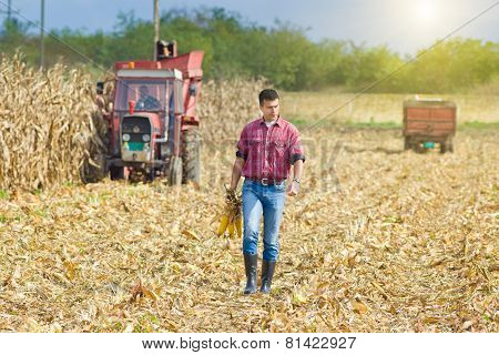 Farmer On Corn Harvest