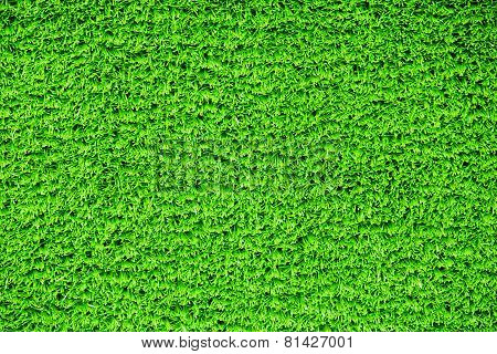 Artificial Grass Field