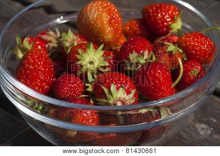 bowl of strawberries