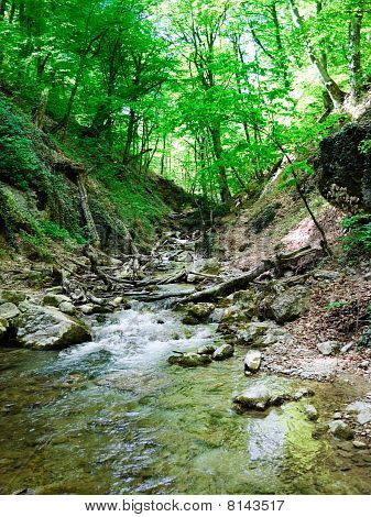 Mountain Creek