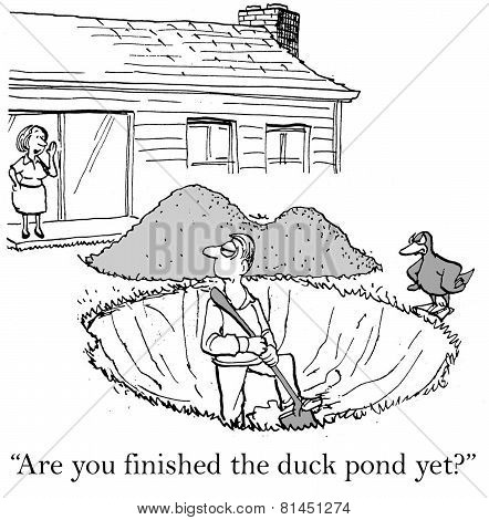 Duck Pond