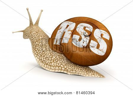 Snail and RSS (clipping path included)