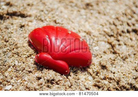 Shell