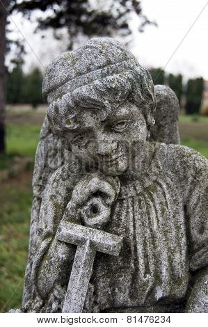 Angel On A Cemetery