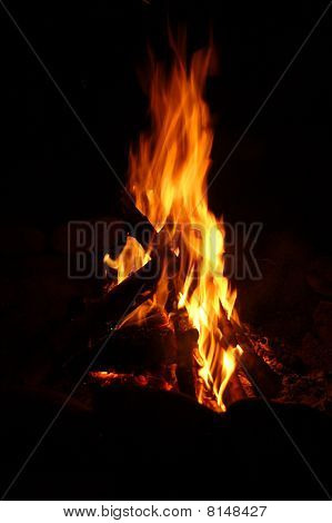 Brand