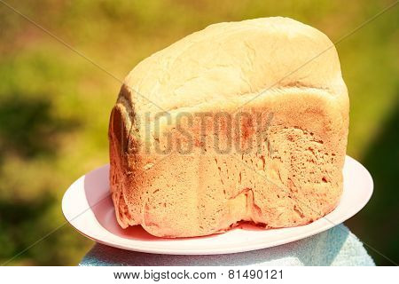White Handmade Bread