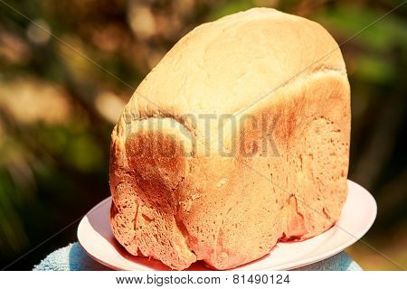 White Handmade Bread
