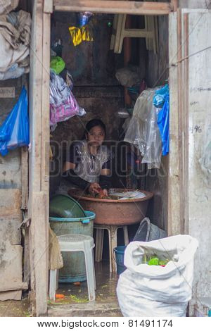 Vegetable Worker