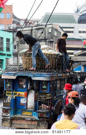 Vegetable Haulers