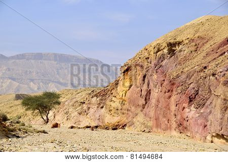 Small Crater Landscape In Negev Desert.
