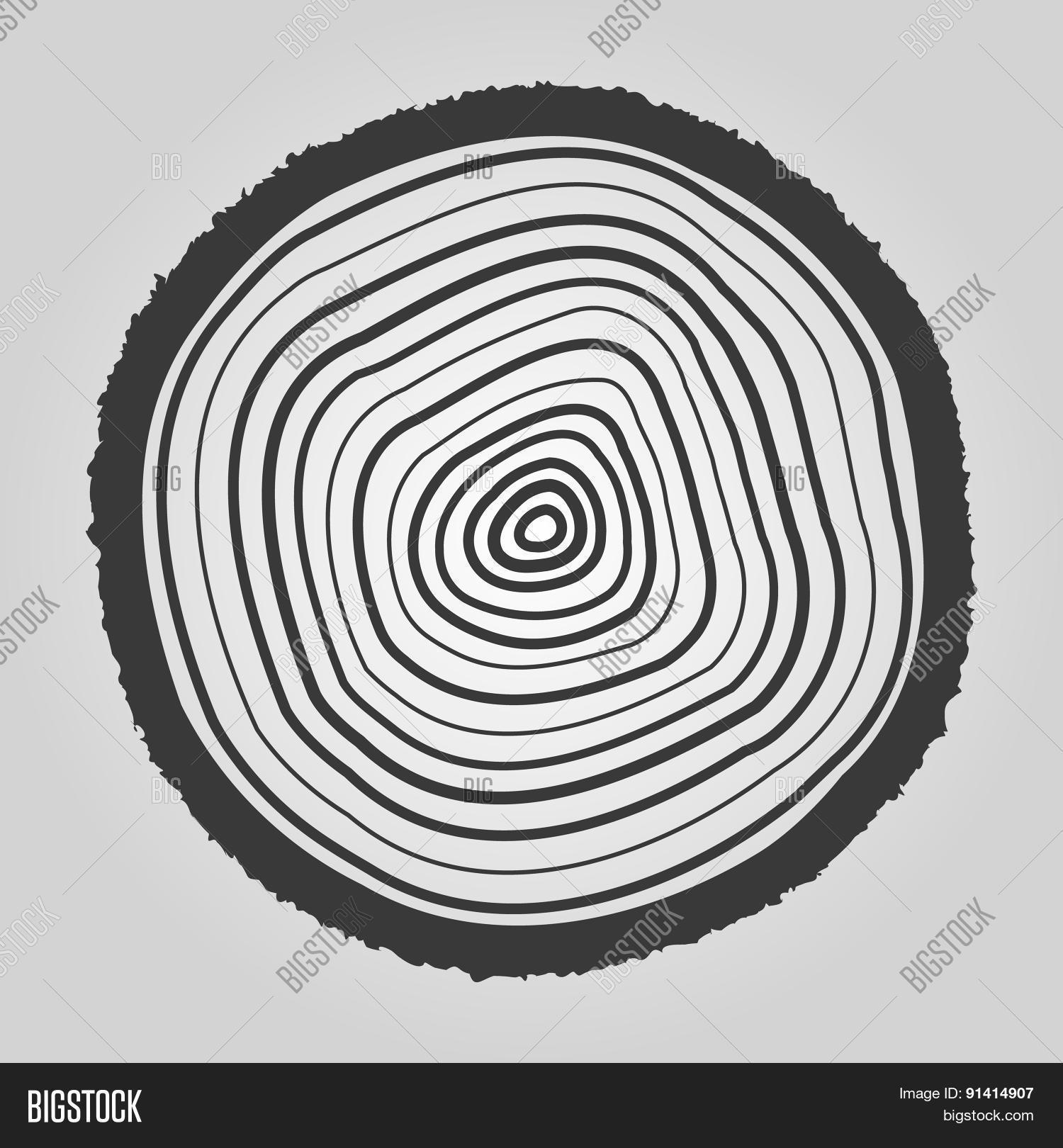 Tree Rings Icon. Tree Vector & Photo (Free Trial) Bigstock